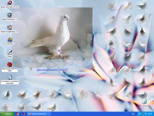 Download pigeons and put them on the Desktop.